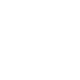003-compass-flower