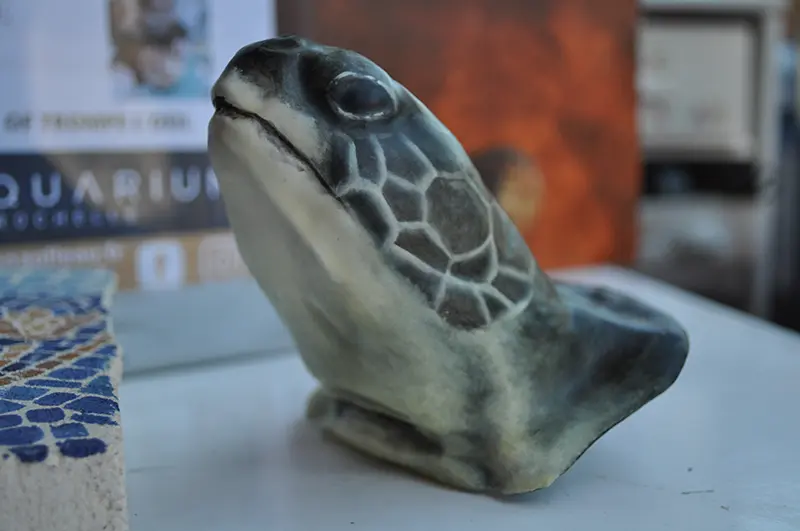 projet aquarium 1