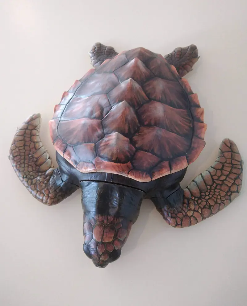 projets aquarium 5